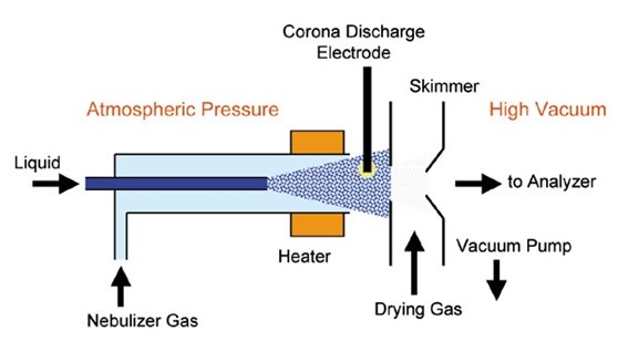 Atmospheric pressure chemical ionization