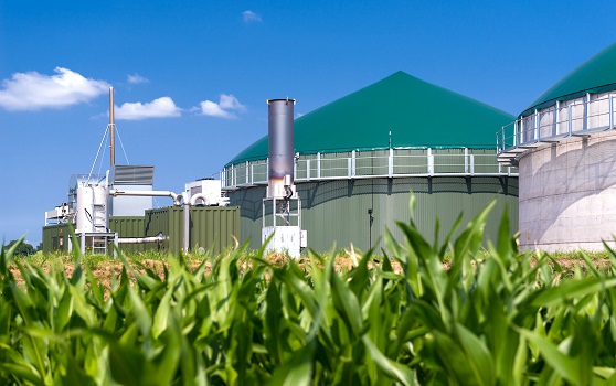 What is the role of flow measurement in converting biogas into green gas?