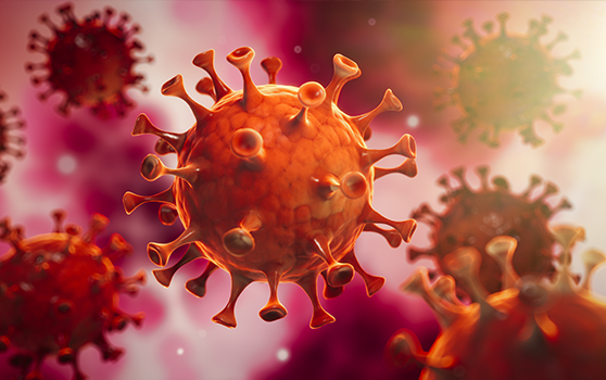 Important information about COVID-19 (coronavirus) - The Institute