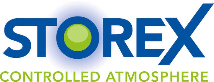 Logo STOREX