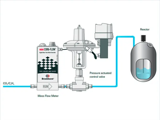 Coriolis flow meter for supercritical fluid